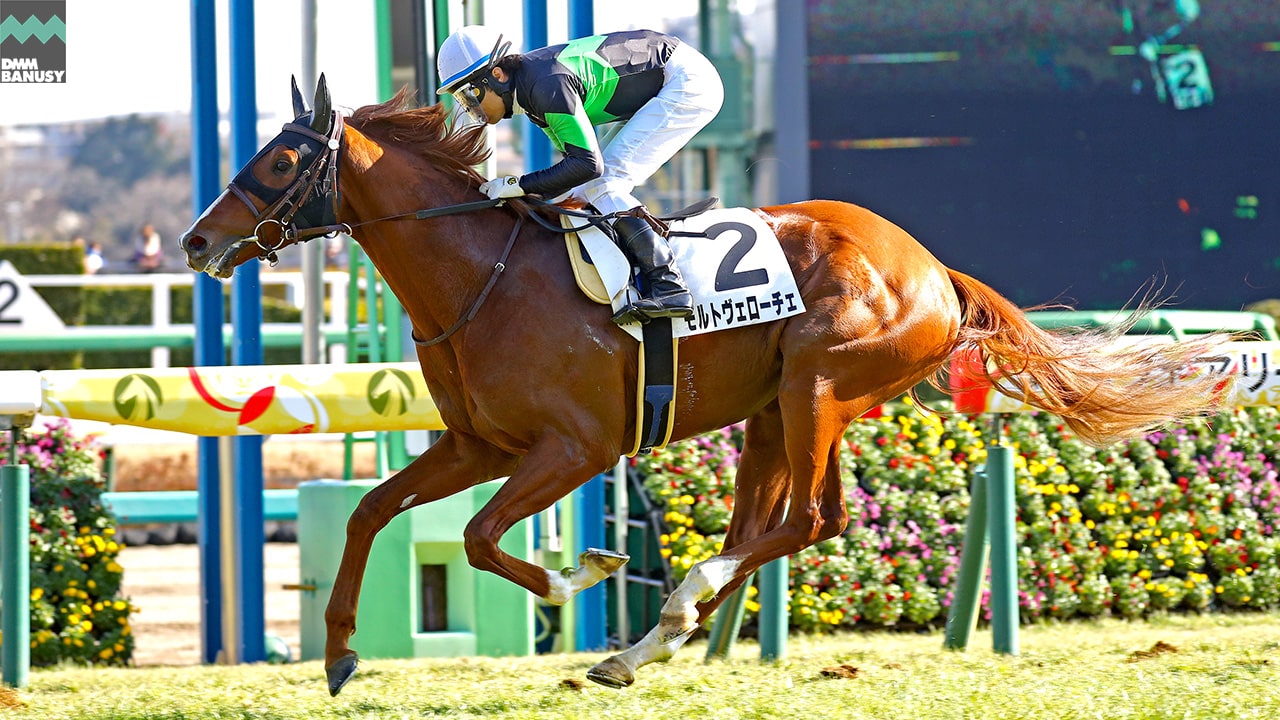 2023-01-13の所属馬ニュースのサムネイル
