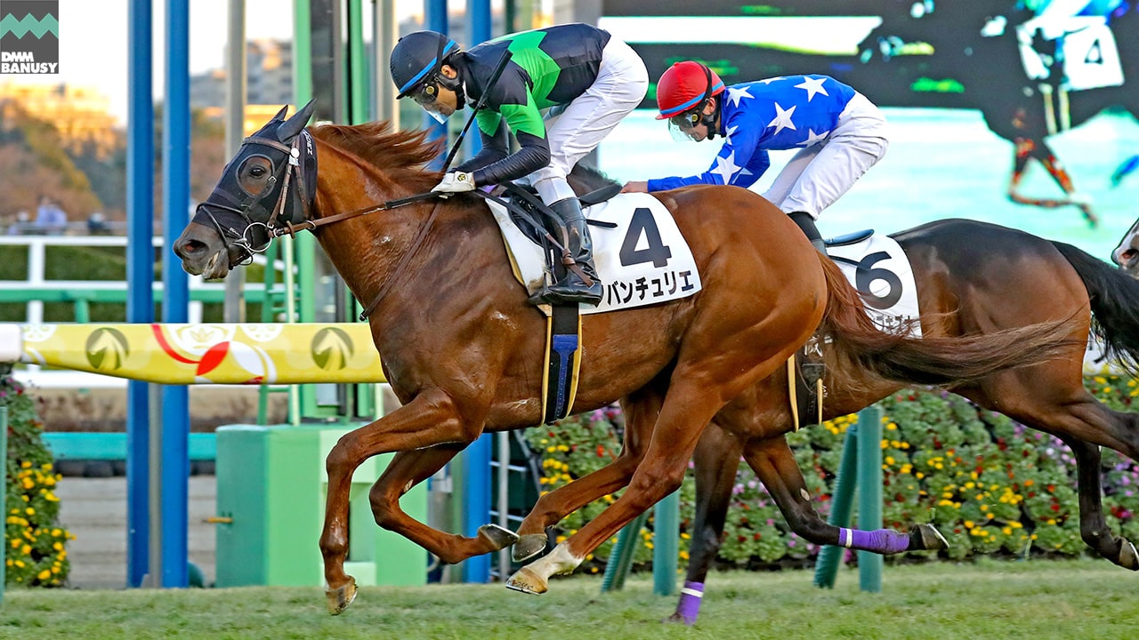 2023-01-13の所属馬ニュースのサムネイル