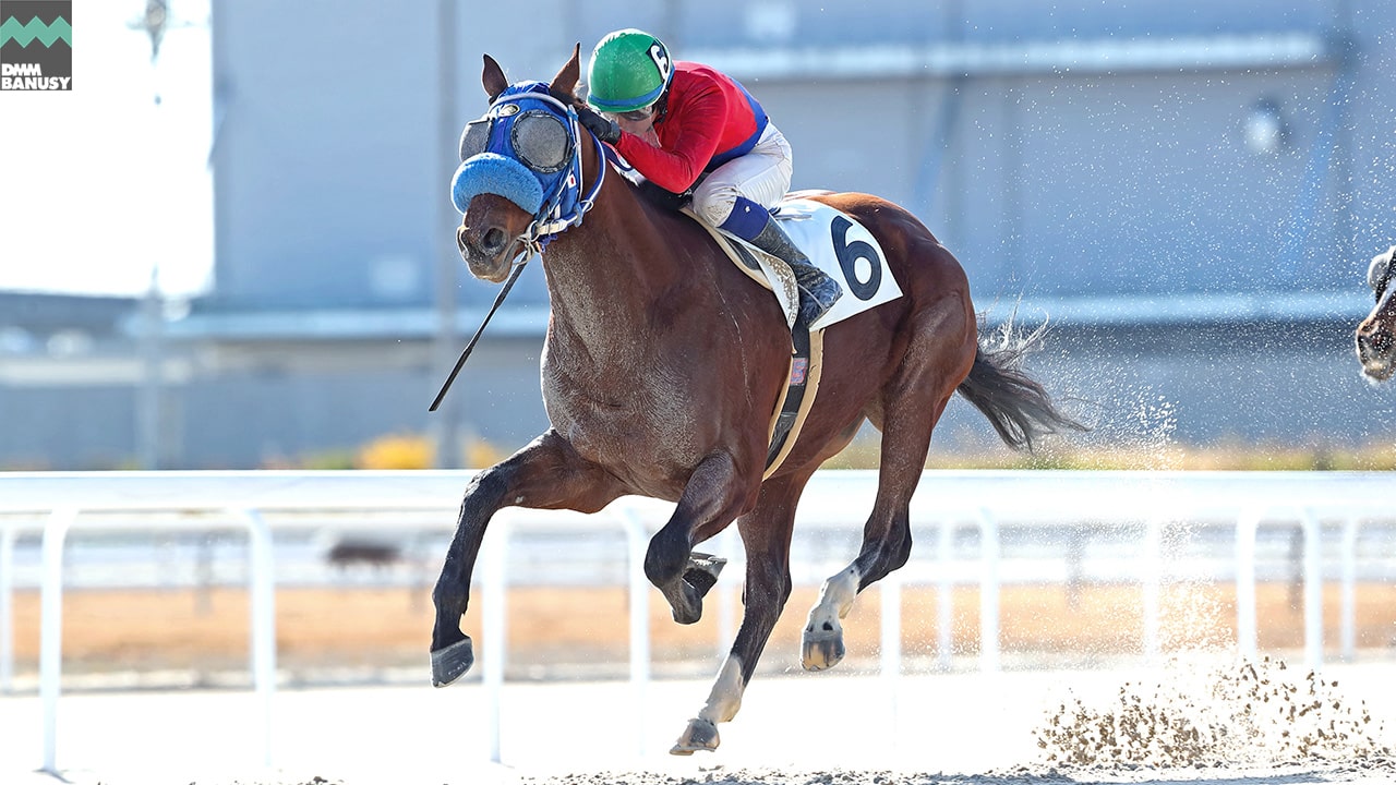 2023-01-19の所属馬ニュースのサムネイル