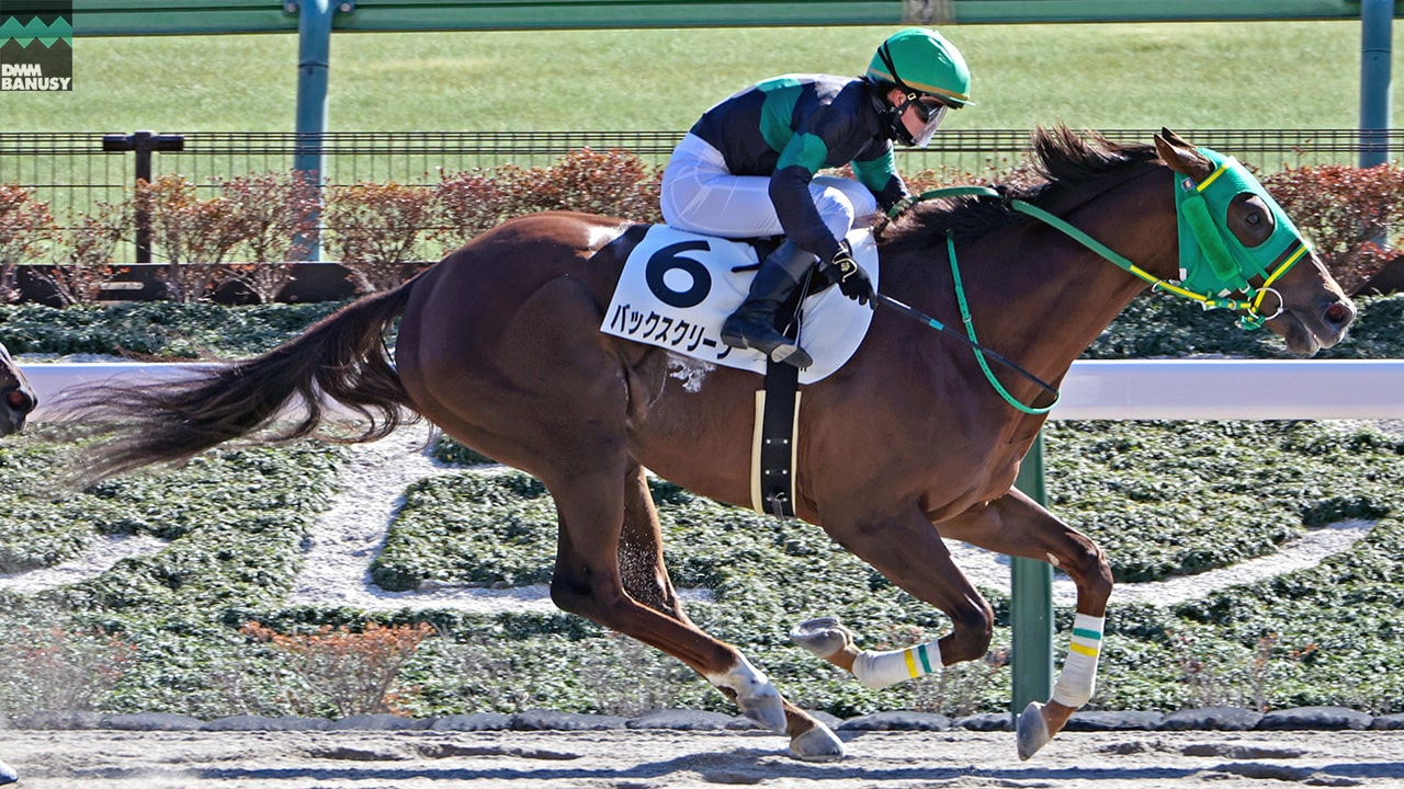 2023-01-31の所属馬ニュースのサムネイル