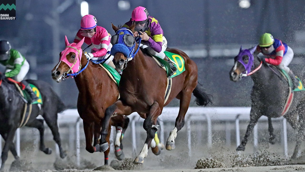 2023-02-06の所属馬ニュースのサムネイル