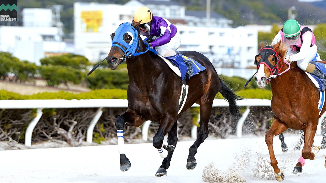 2023-02-24の所属馬ニュースのサムネイル