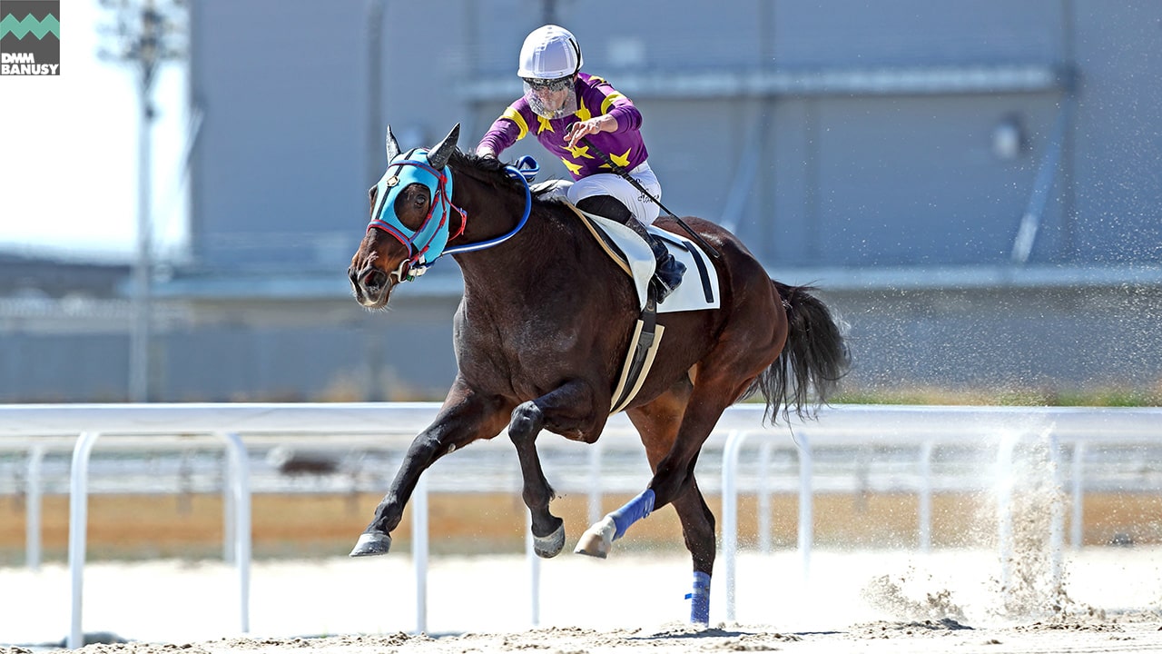 2023-03-16の所属馬ニュースのサムネイル