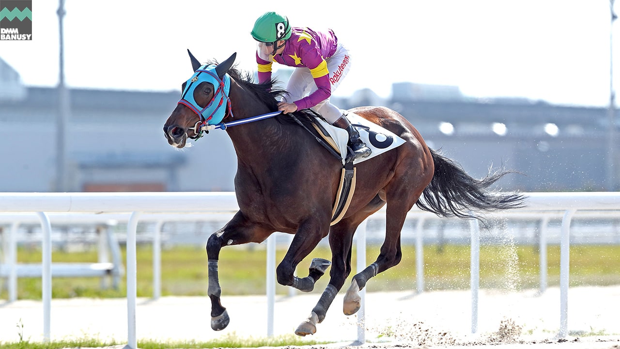 2023-04-12の所属馬ニュースのサムネイル