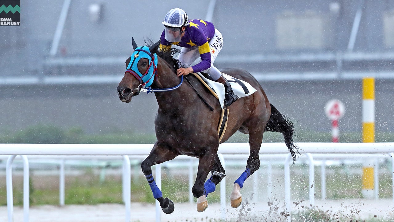 2023-05-23の所属馬ニュースのサムネイル