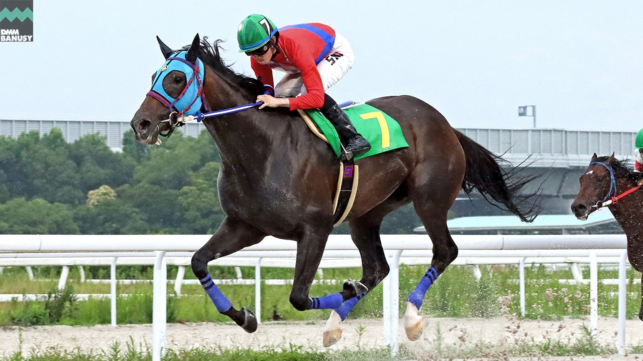 2023-07-06の所属馬ニュースのサムネイル