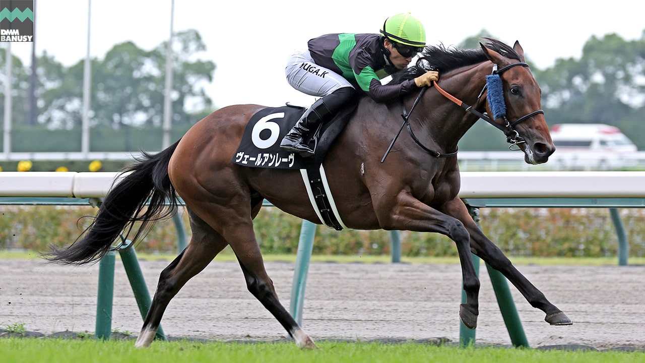 2023-07-12の所属馬ニュースのサムネイル