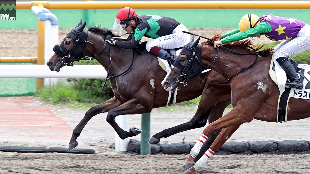 2023-07-24の所属馬ニュースのサムネイル