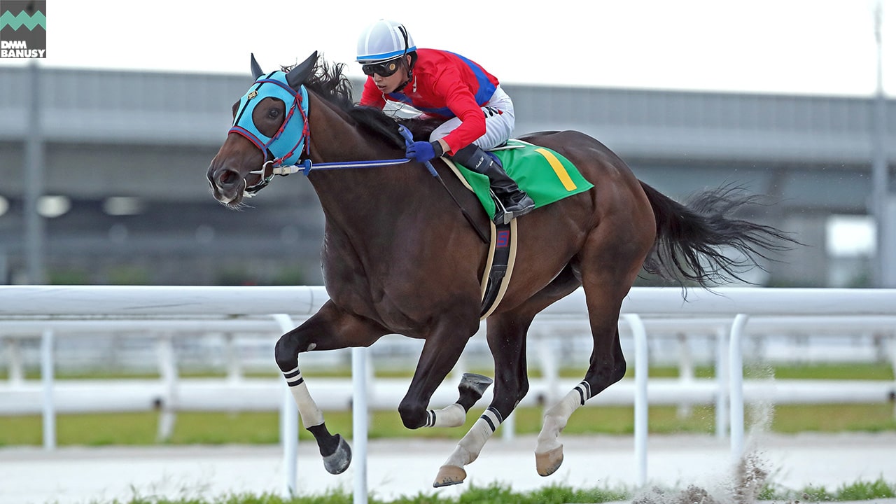 2023-08-10の所属馬ニュースのサムネイル