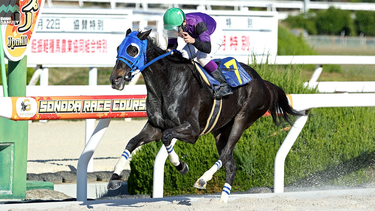 2023-11-27の所属馬ニュースのサムネイル