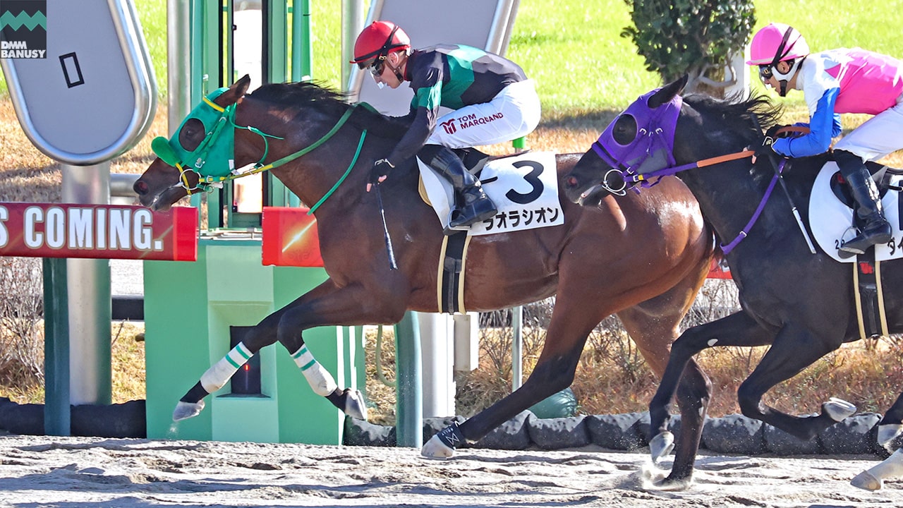2023-12-12の所属馬ニュースのサムネイル