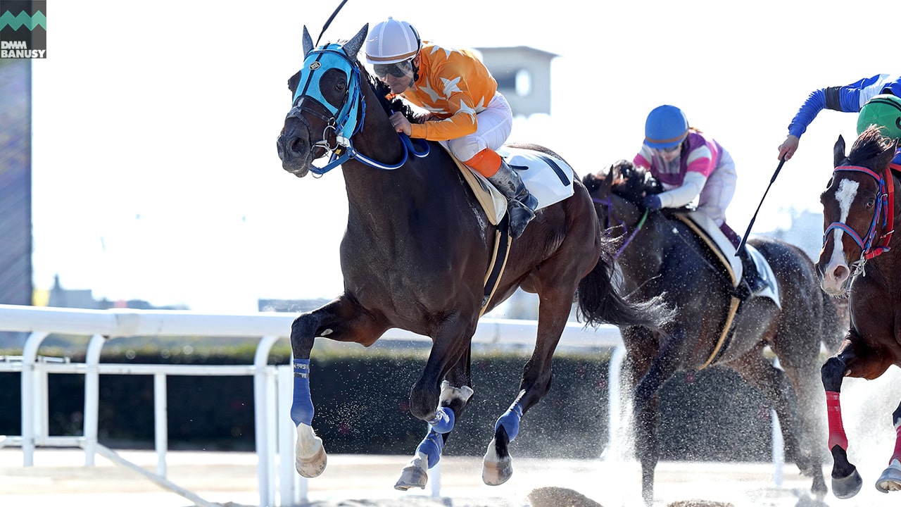 2023-12-12の所属馬ニュースのサムネイル