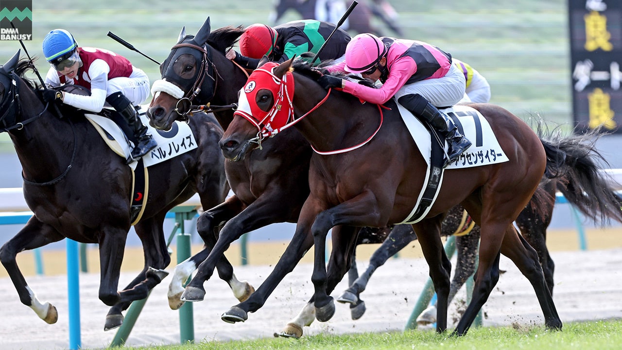 2024-01-12の所属馬ニュースのサムネイル