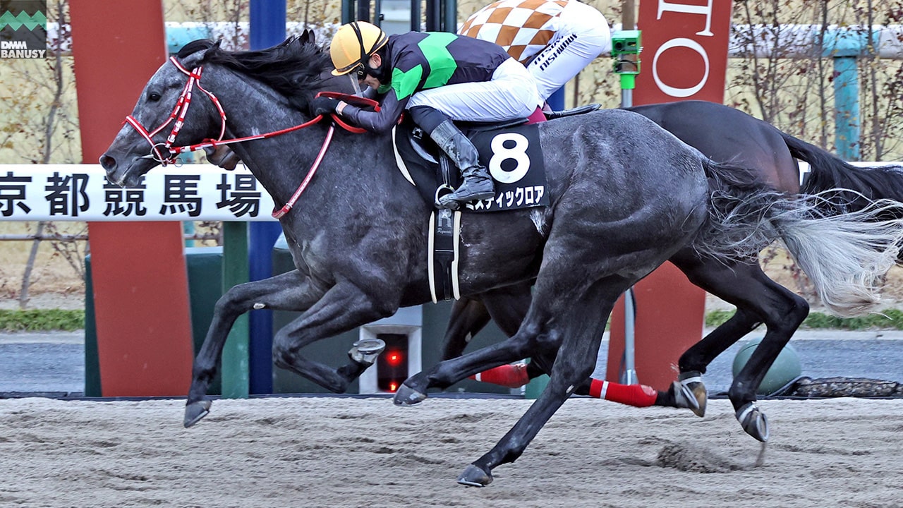 2024-01-30の所属馬ニュースのサムネイル