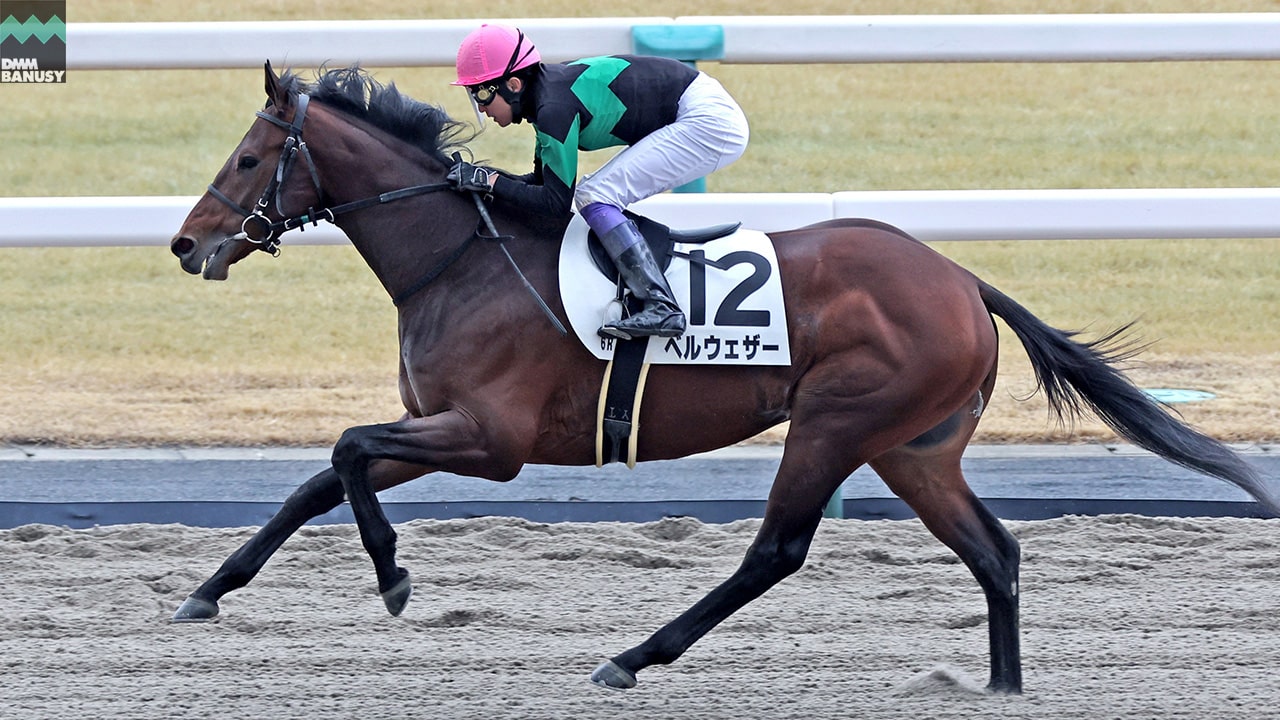 2024-02-13の所属馬ニュースのサムネイル