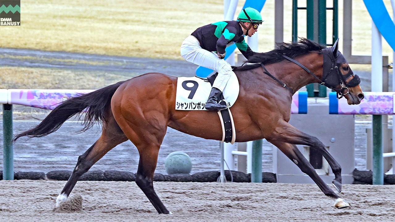 2024-03-26の所属馬ニュースのサムネイル