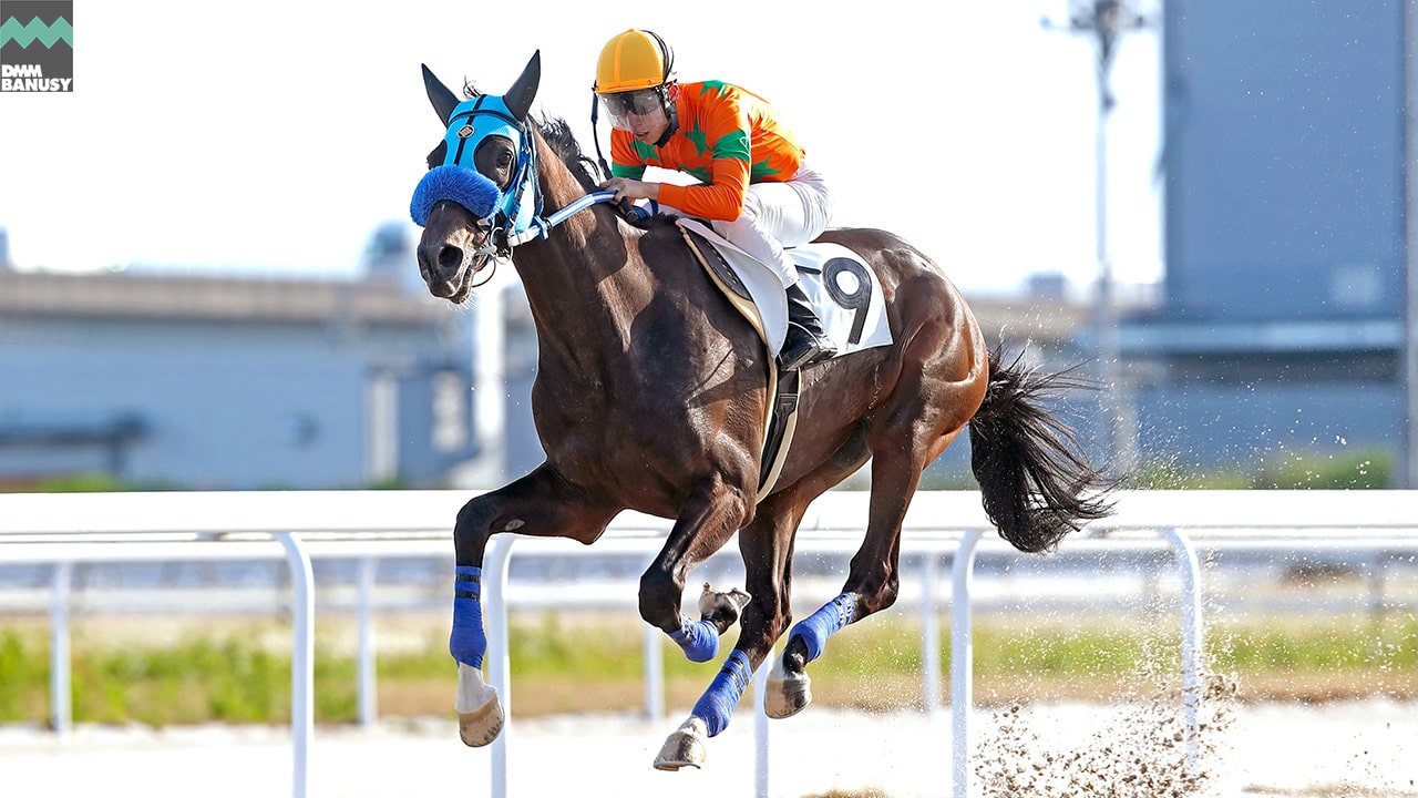 2024-05-22の所属馬ニュースのサムネイル