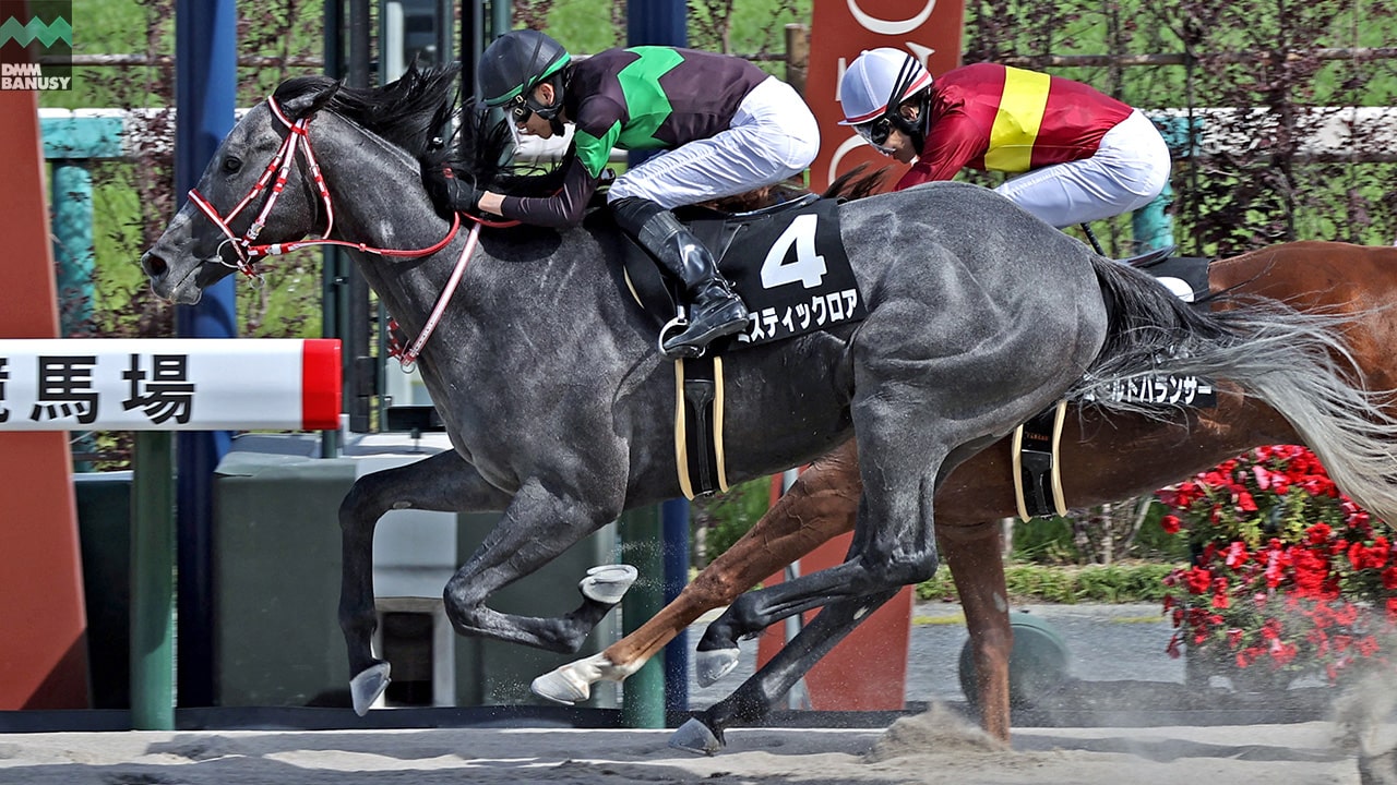 2024-05-27の所属馬ニュースのサムネイル