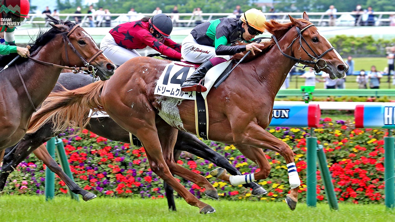 2024-06-03の所属馬ニュースのサムネイル