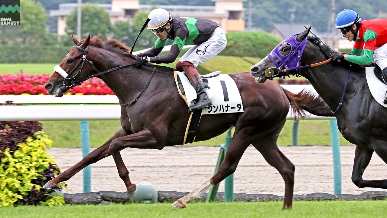 2024-07-09の所属馬ニュースのサムネイル