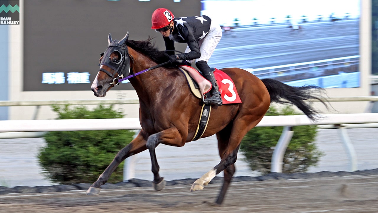 2024-07-22の所属馬ニュースのサムネイル