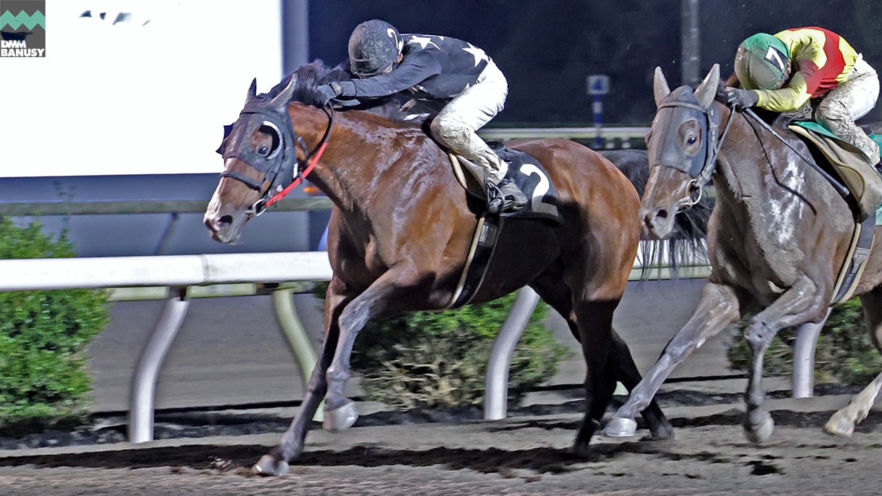 エブリワンブラック 高知10R・橋口アナ30周年特別C2-2 1着