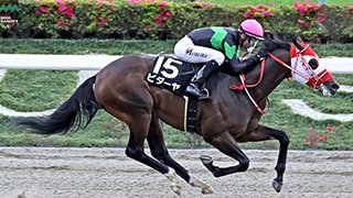 2025-04-28の所属馬ニュースのサムネイル