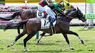 2025-05-07の所属馬ニュースのサムネイル