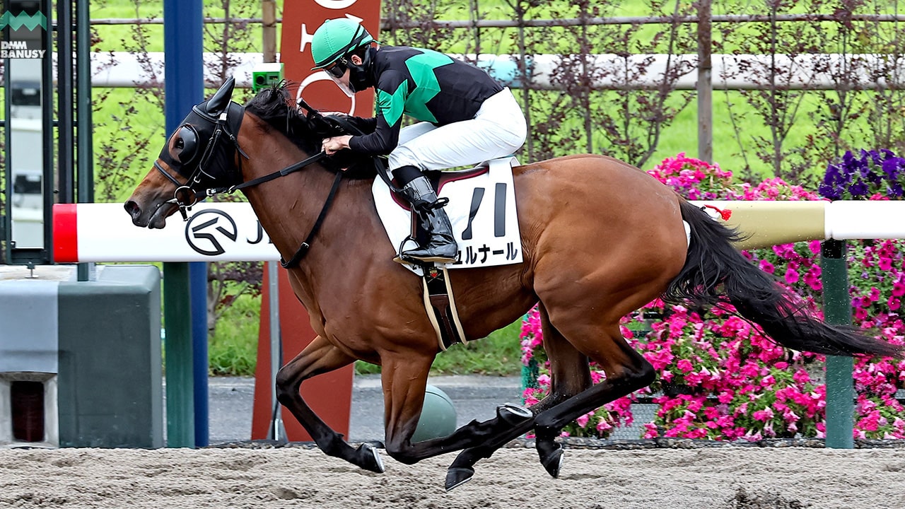 ジュルナール 京都2R・3歳未勝利 1着