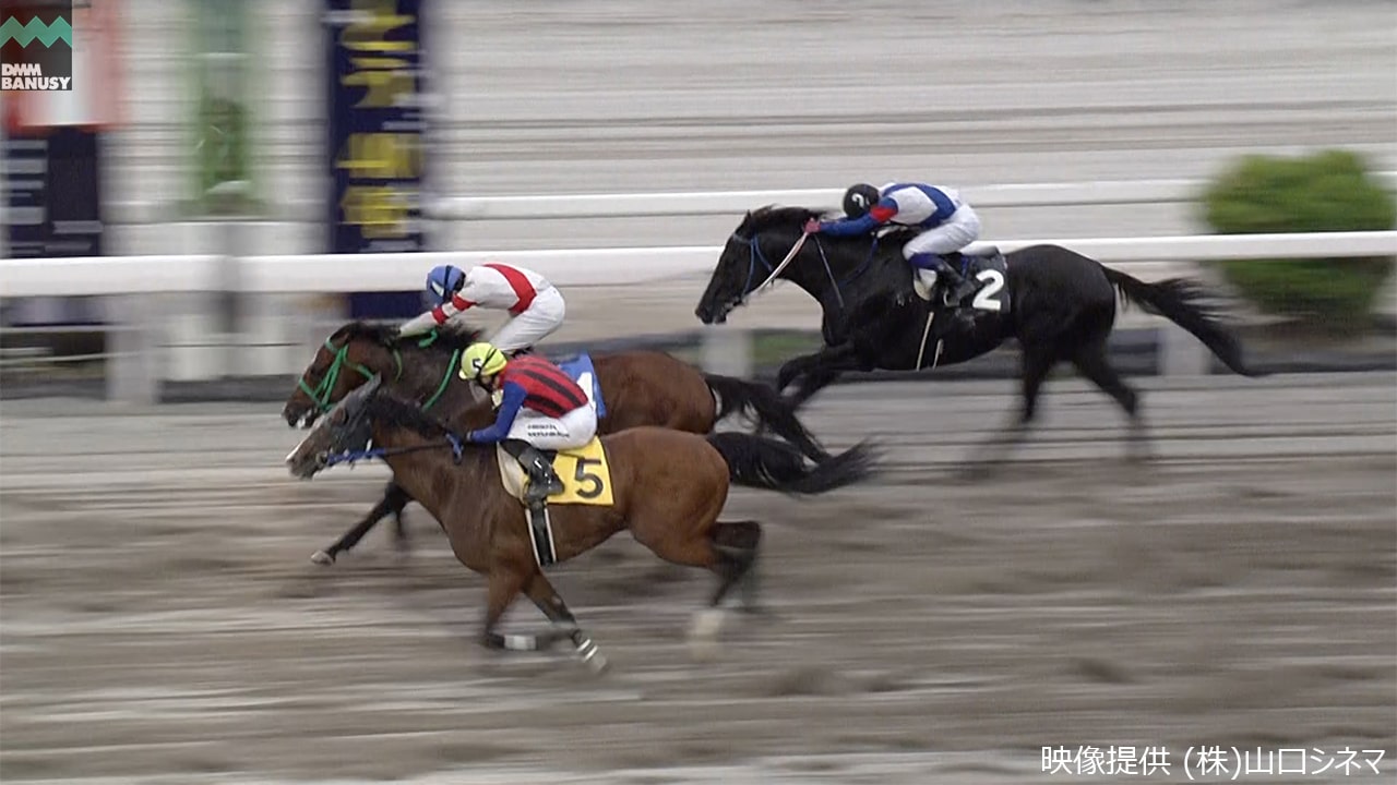 エブリワンブラック 高知4R・B-3 1着