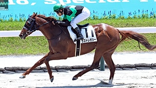 2025-06-30の所属馬ニュースのサムネイル