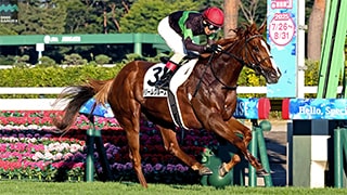 2025-07-28の所属馬ニュースのサムネイル