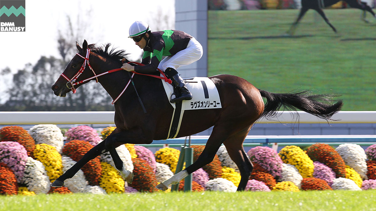 バヌーシー所属馬イメージ
