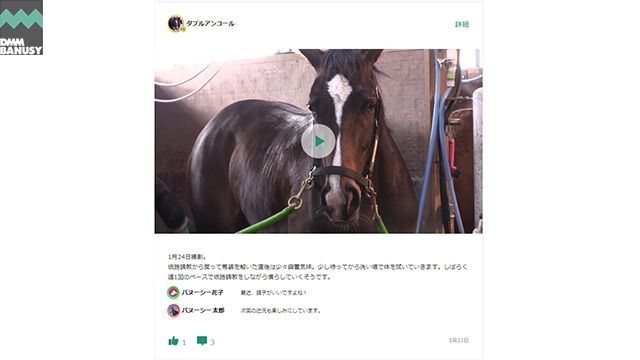 近況動画配信イメージ