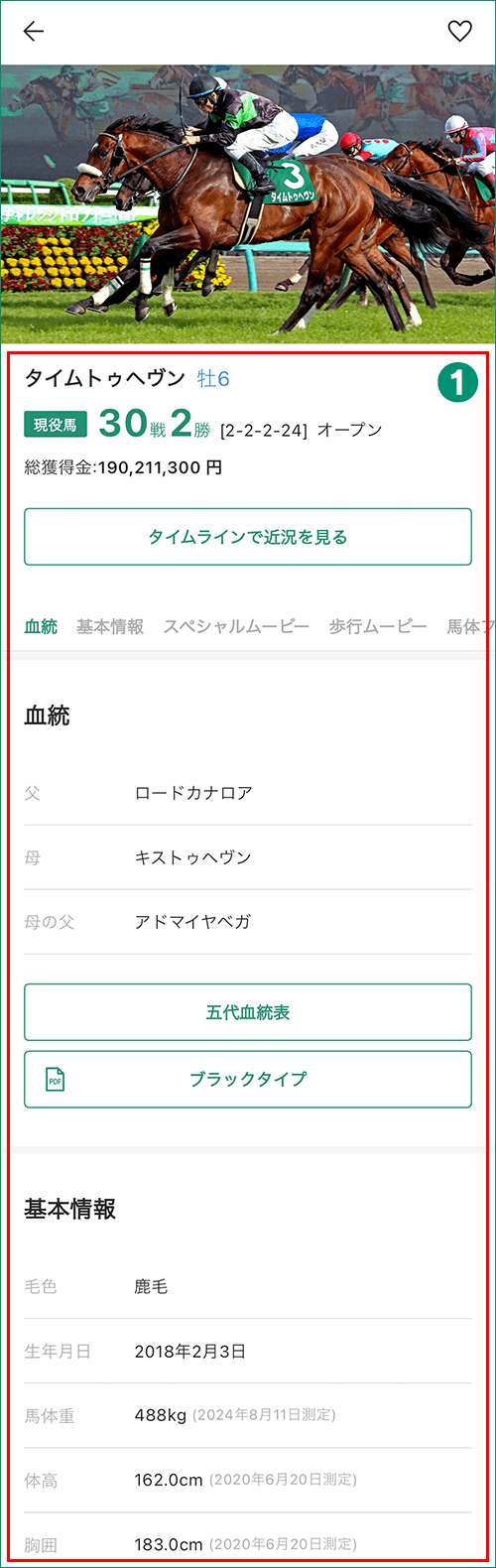 所属馬詳細画面