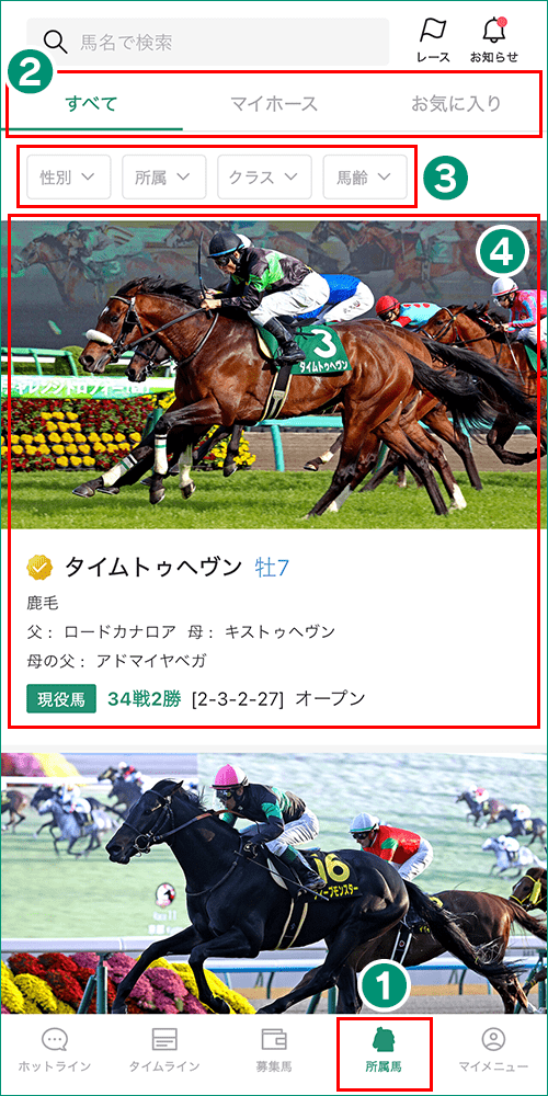所属馬画面