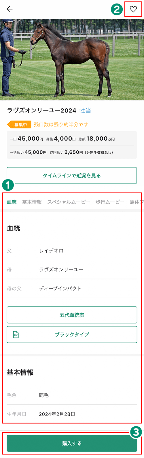 募集馬詳細画面