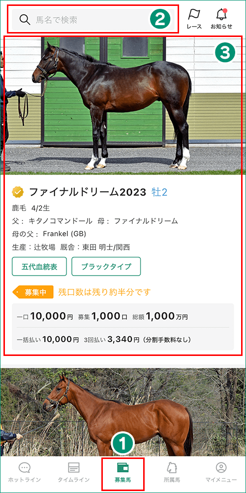 募集馬画面