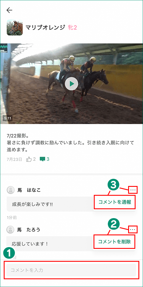 コメント投稿画面