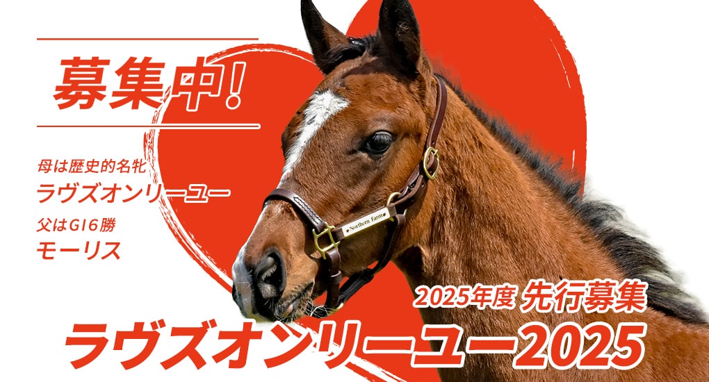 2025年度先行募集 ラヴズオンリーユー2025